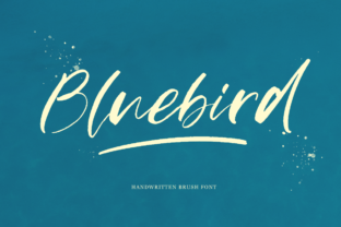 Bluebird Handwritten Font Review for Brand Identity Projects