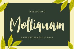Molliquam: A Handwritten Font for Editorial Charm