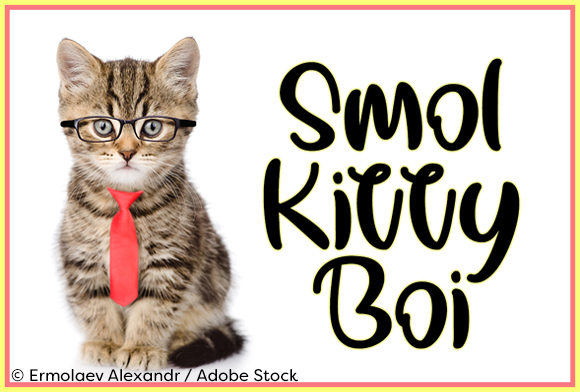 Smol Kitty Boi Typeface: Adding Funky Charm to Brand Identity