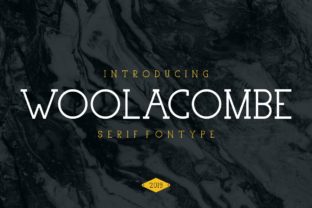 Woolacombe: The Smart Serif Font for Polished Brand Identity